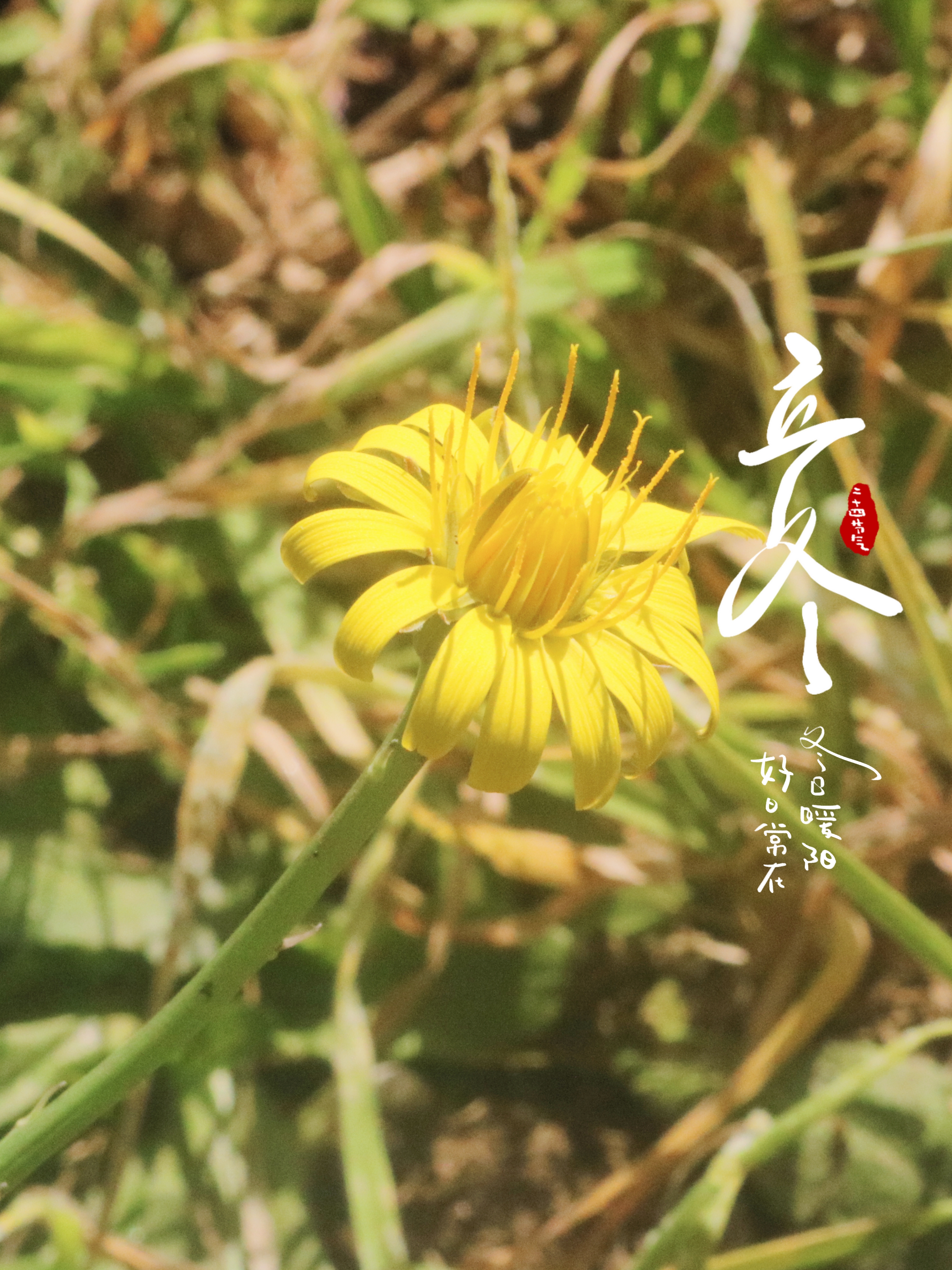 冬至欢愉，长乐常安